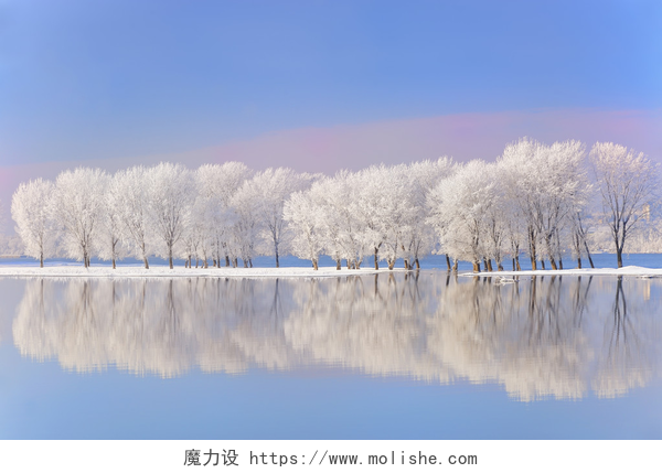 冬日蓝天下的河流和覆盖着白色霜雪的大树覆盖着霜冻的冬树